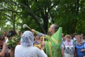 В День Святой Троицы в Кричевском районе освятили криницу