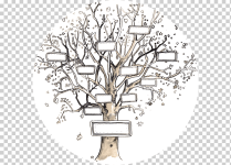 gratis-png-arbol-genealogico-genealogia-plantilla-ancestro-familia-1